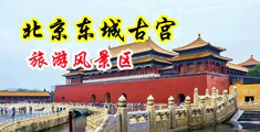 宅男舔下面中国北京-东城古宫旅游风景区